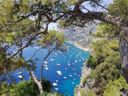 Capri Marina Piccola